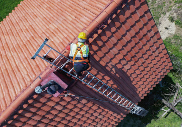 Best Skylight Installation and Repair  in Wellston, MO